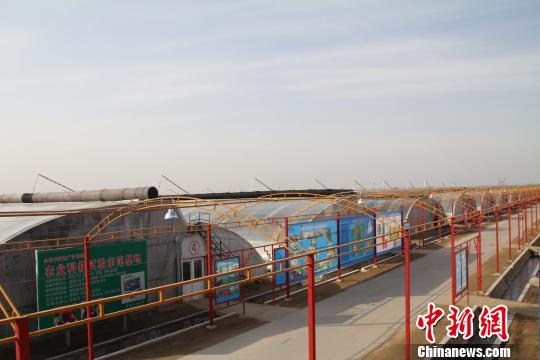 �ӱ������ֲ˳ɡ�ʱ�С�ѭ��ũҵ����������Ⱦ��