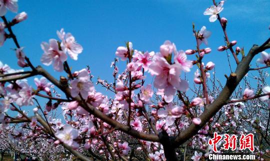 ��<a href=http://china.city28.com target=blank>�й�</a>��֮�硱���������һ�ʢ�������ο������