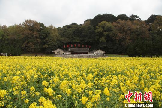 ����ɫʥ�ء����׽��Ͳ˻���