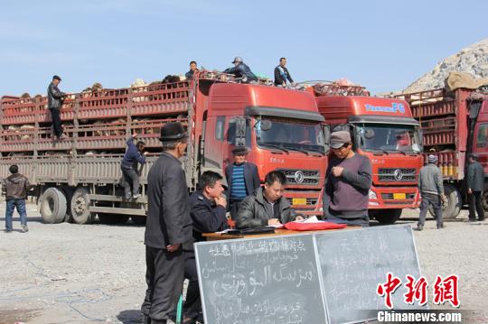 �½�����10��ţ��˳�Ǩ��ת��