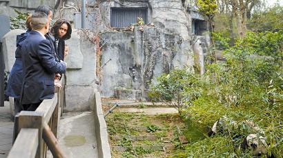 ��Ъ���������߽�����è���ر�����è���ȷ�����ͼ��