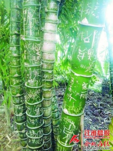 ���ո�����̬԰ֲ�����ҿ��һ���������