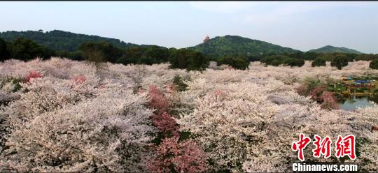 �������人����ҵ����ת�����οͽӴ�����<a href=http://china.city28.com target=blank>�й�</a>����ǰ��