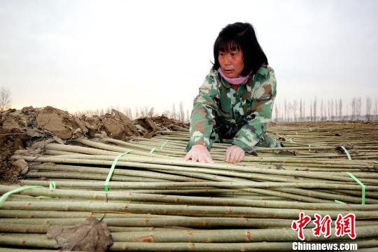 �½������ų�������������ũ����