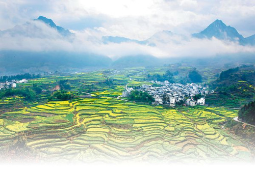 �����Ҹ��壺��̬ũҵ���조<a href=http://china.city28.com target=blank>�й�</a>������԰����ͼ��