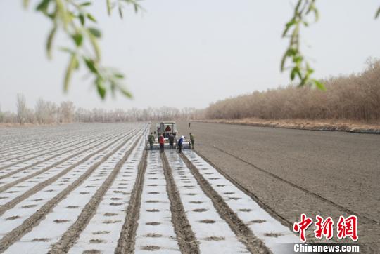 ������������½�����ľ��ش���æ��ͼ��