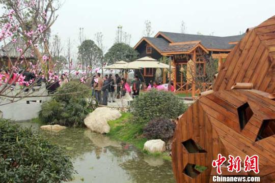 �Ĵ���������԰����ȼ�������