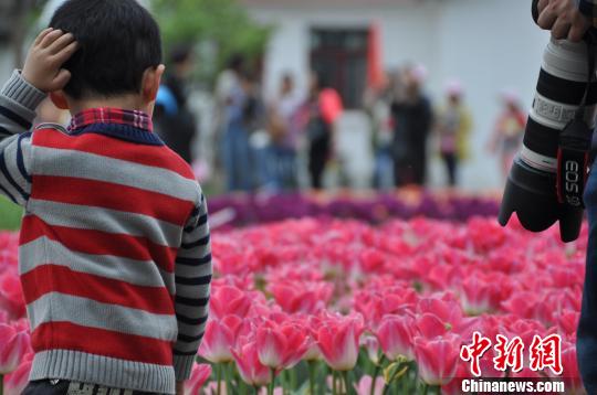 ������ׯ��3��ƽ��������չ����Ʒ�ֳ�̤������