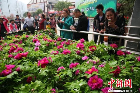 �Ĵ�����ĵ�����ῪĻ300����ĵ��4�¼�������