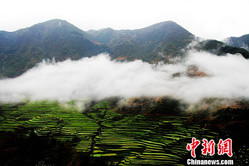 ������Դ���˻��ɹŴ��仨���������ܲ�������