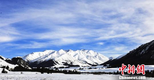 �½��Ʋ������ԭ��������װ������������ͼ��