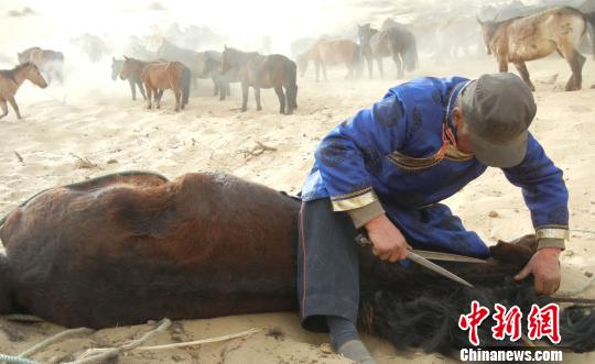 �½��ɹ�������ٰ조����ӡ���ڣ�ͼ��