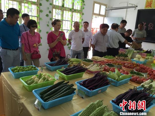 �㽭�����������ٰ��ɽ�߲˽ڡ�ũ�ý�ϡ�������