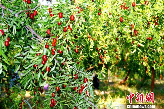 �������١�<a href=http://china.city28.com target=blank>�й�</a>�������֮�硱�п�ѷũ�����գ�ͼ��