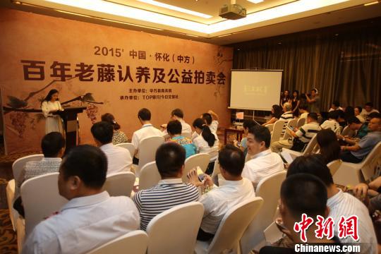 ��ǧ����ϡ��������١��������ĳ�23��Ԫ