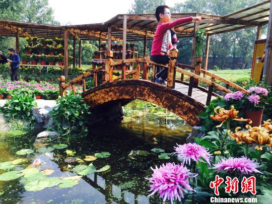 �е±���ɽׯ15����ջ�������ׯ�ھջ���׷������Ǭ����