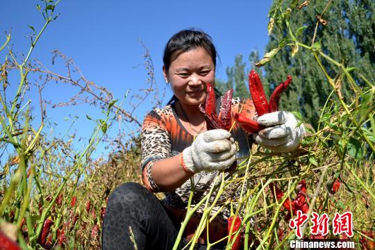 ժ���������ֳ����������� ��