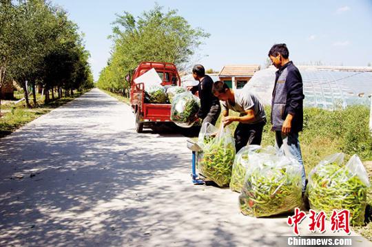 �߲������̰�˾��ǰ��Ф����Ķ��ʩ�߲˻������������������߼��ߣ��ԴӸ�������������Ф���������Ĥ�ˮ��·��ͨ��ǰ�������߲˵Ĥ����������ﲻ��������ٻ ��