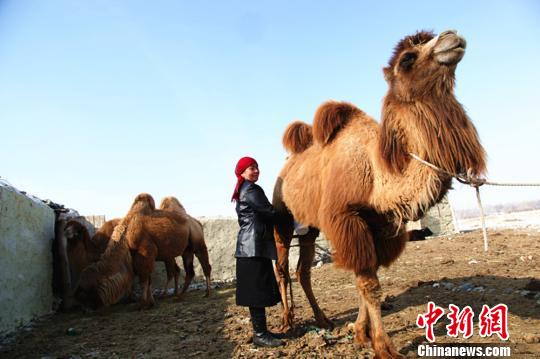 �½�������������δ���ϵ����Ĥ��������