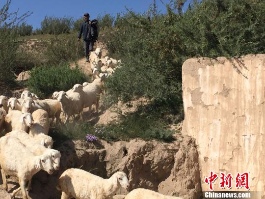 ������������Ƨ����������ׯ�ں�����ҩ��ũ��