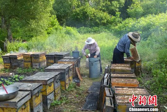 �����������Ҽ�塱�����ۡ��ɡ���ŷ�����