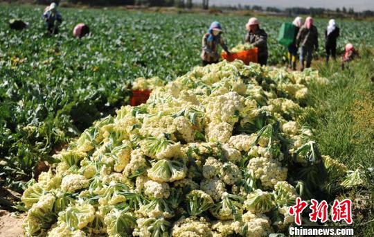 �����̨̽������ͷ�߲˳��С���ԭ�Ĳ˵Ǹ۰Ĳ���