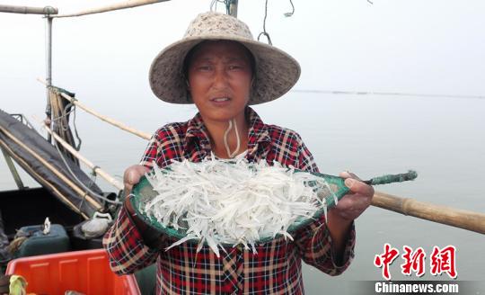 �㽭��̫�����￪��æ�����賿�����κ��ճ�