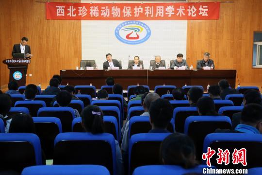 ���������조������ϡ���ﱣ�������ǻ�ƽ̨��