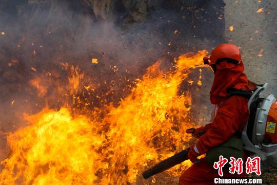 9��24�գ��侯������Ҵ��ɭ��֧��150���ٱ�������ɽ��ĳ�ֳ���������ѵ�����ؾ����������������С�� ��