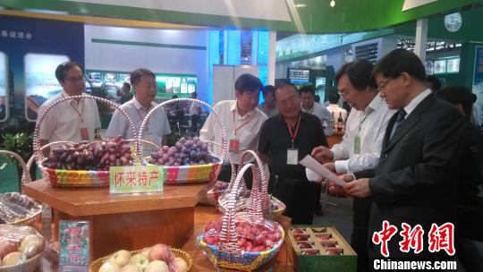 �������ǧ�Ҵ����Ų�չ��19��ũ����֪������������