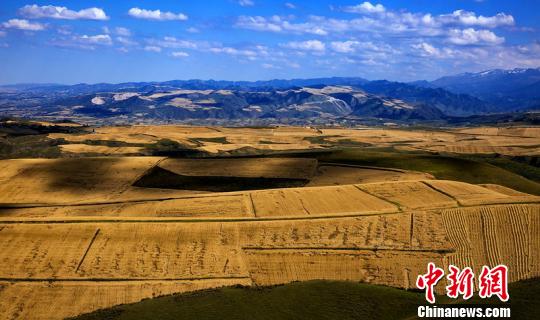 �½��������˾��������ο͡�ʮ��Ҽ�������ο;�����Ʊ