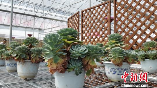 ���ݽ��ɶ��о�Ʒ���������գ���Ԫ��ҵ��Ⱥ�ѳ���