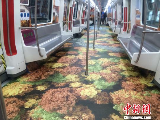 �����������ɫ�����������ͨ�������������Ļ�ר��