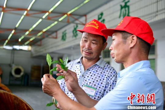 ��<a href=http://china.city28.com target=blank>�й�</a>��Ҽ�����ء��찲Ϫ��������ͳ�Ʋ輼����