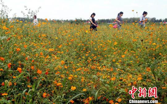 ��������Ϫ��Դϲӭ�����ο�