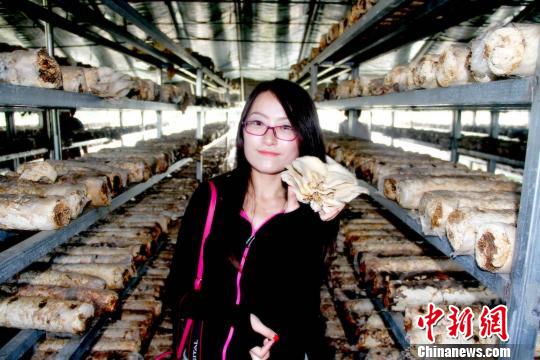 ���Ҵ����ժĢ�������ŵ��� ��