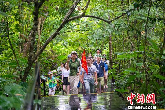 �������������������þ��á�����ѽŵ�����顰�������Ρ�