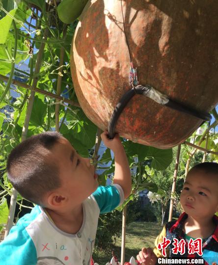 ������С��ϡ������ܶ���ǰ��Χ�ۣ�Ҳ��Ϊ������̽����ѧ�Ĥ����Ż��⡣�������� ��