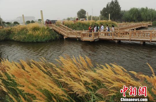 �������Ⱥں������̨��ò��������������ʪ��ͼ��