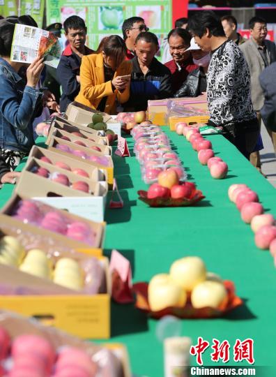 �����鱦Ҽ�糤���ǡ���ƻ�����ֳ���������ͼ��