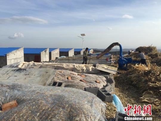 ����ƽ����Ԫ��ҵ����񸻹�Ա�����������ݡ�������