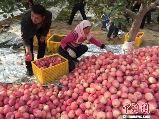 ƽ�������������Ļ����ѧ������Զ�����ԡ�����ƻ��