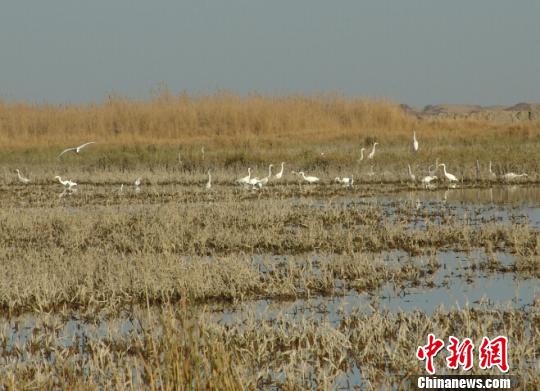 �½�����ľ������ǡ��ˮ����̬�������Ƴ�������԰