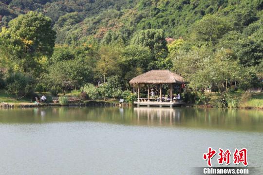 ���ɽ�ϻ���С�򣺾������𡱶�