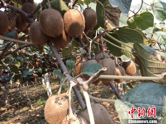 ����������������������ؼ���������ü�ػ�ɹ�