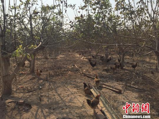 �ӱ��ٳǣ����Ҽ�ƶ���صĤ���ɫ�ӱ�