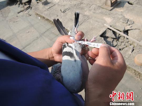 �������ӡ��ɸ봫�顱���������ͼ��