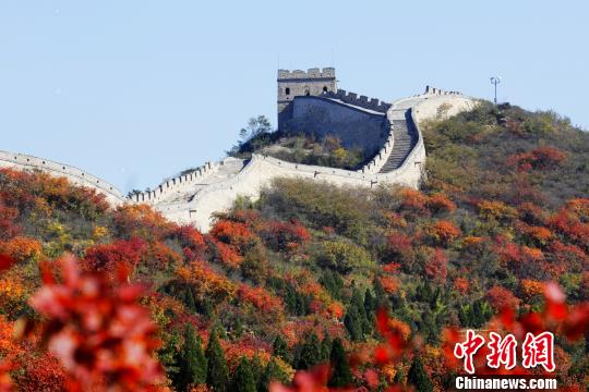 <a href=http://bj.city28.com target=blank>����</a>�˴����Ҷ�ʴﵽ50%�ͺ�ר��10�¿�ͨ��ͼ��