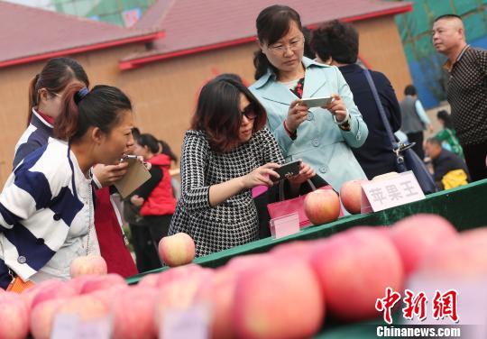 709.5�˳���ƻ��ժ��2015ɽ����Դ�조ƻ���������