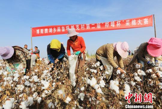 �½������ٰ�����޻���ժ��ʰ������չ��ɣ�ͼ��